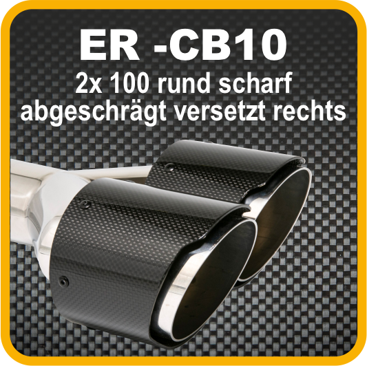 Endrohr Carbon 2x100mm rund scharf abgeschrägt versetzt rechts, schwarz